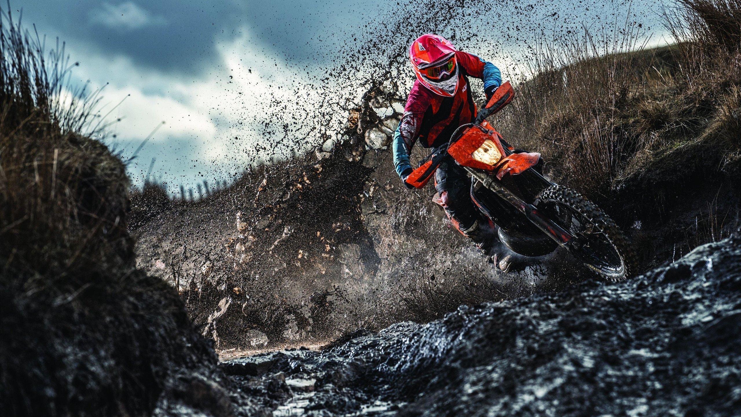 世界杯：知识产权律师就盗播问题发声 呼吁球迷支持正版